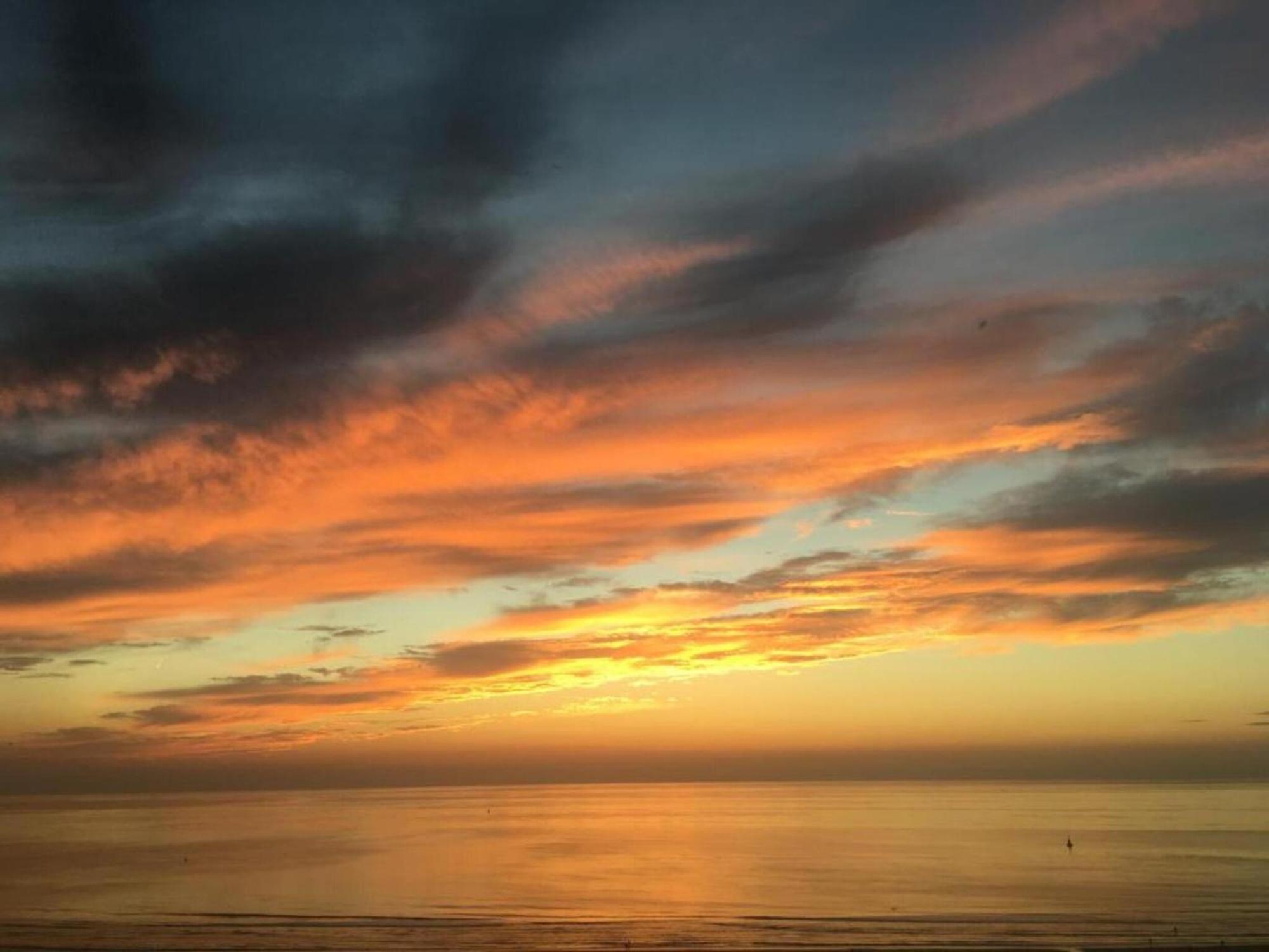 Lush With View * Ostend
